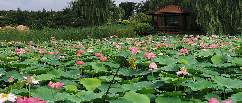 沈陽(yáng)炎熱夏季到來(lái)，使用電加熱鍋爐需要注意的幾個(gè)方面你知道嗎