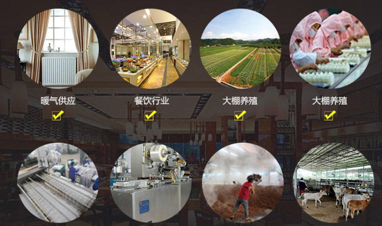 電磁蒸汽鍋爐發(fā)生器擁有廣泛的應(yīng)用領(lǐng)域